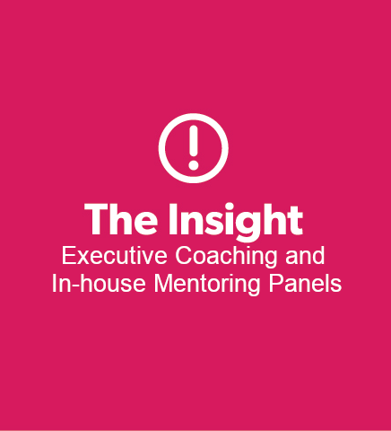 The Insight – Executive Coaching and In-house mentoring panels