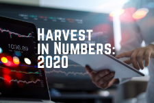 Harvest in Numbers 2020