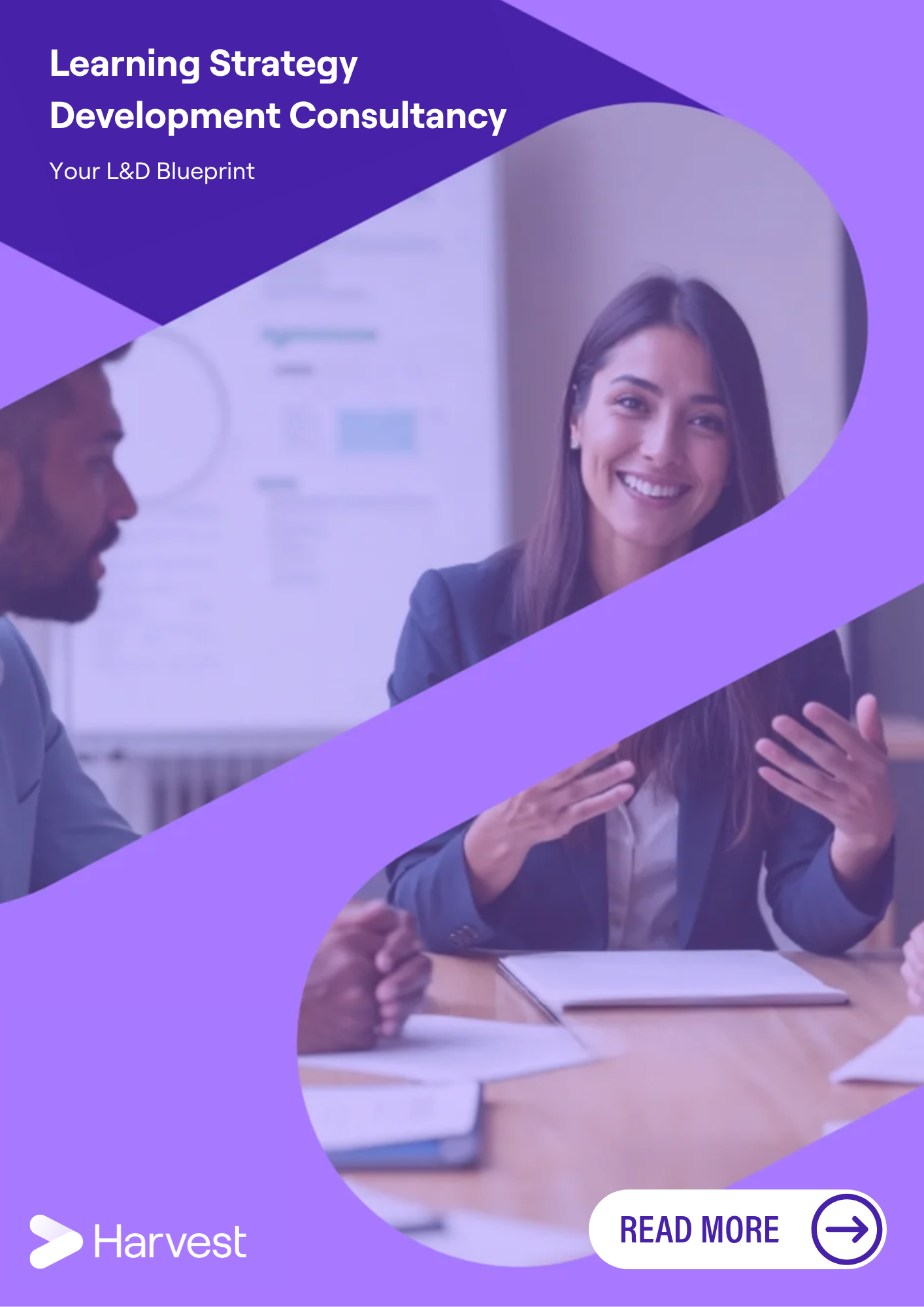Learning Strategy Development Consultancy